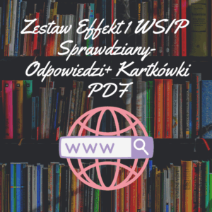 Zestaw Effekt 1 WSIP Sprawdziany Odpowiedzi+ Kartkówki PDF